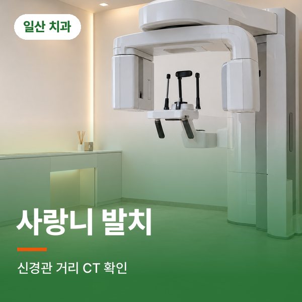 사랑니 발치